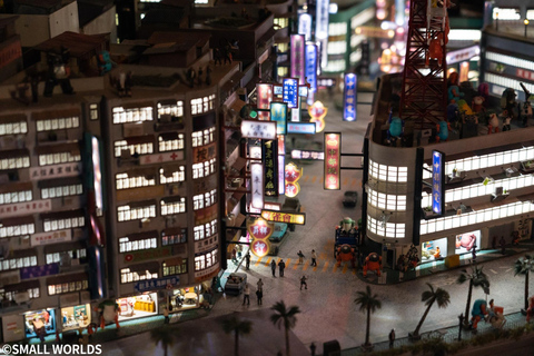 Tokyo: SMALL WORLDS TOKYO Entry Ticket