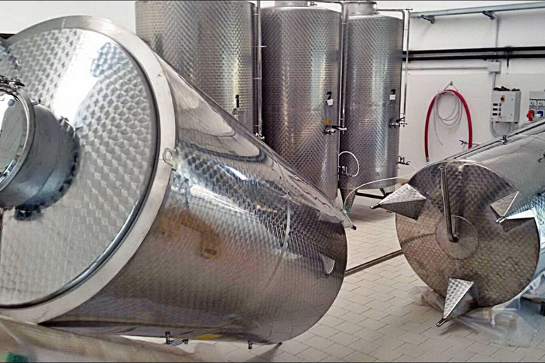 Craft Brewery Tour with Beer Tasting & Gift near Alessandria Craft Brewery Tour with Beer Tasting in English