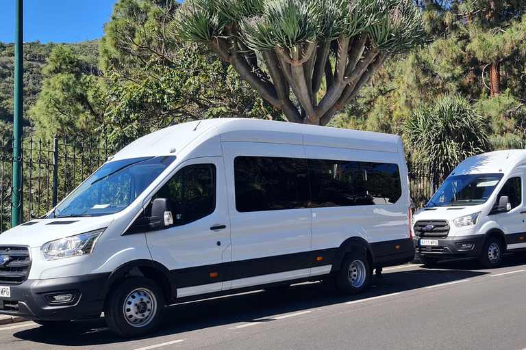 Gran Canaria: Agüimes, Gofio Mill &amp; Eco Farm Food Tasting