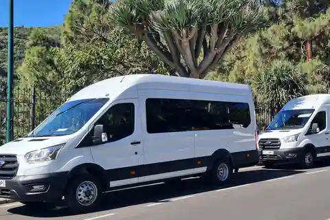Gran Canaria: Grüne Nord Tour mit optionalem Mittagessen