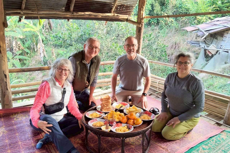 Chiang Rai: Hill Tribe Trek, Waterfall, & Hot Springs Tour