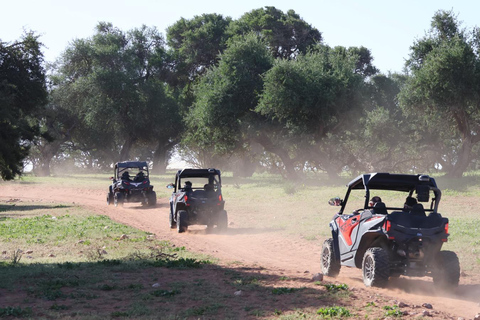 Agadir: Desert Buggy Safari with Hotel Pickup Private Desert Buggy Safari