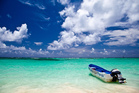 Punta Cana: Excursión de un día a Samaná con Cascada e Isla Bacardí