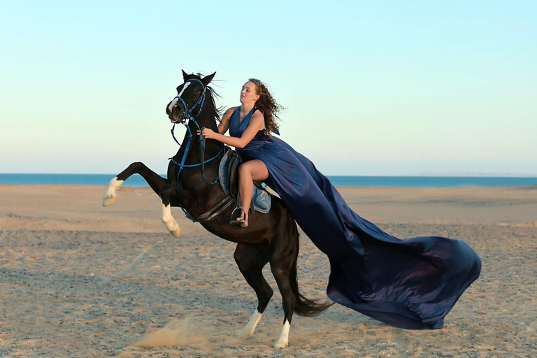 Hurghada: Horse Riding in the Desert & Beach Experience 1 HR Desert Horse Riding Experience without transfer