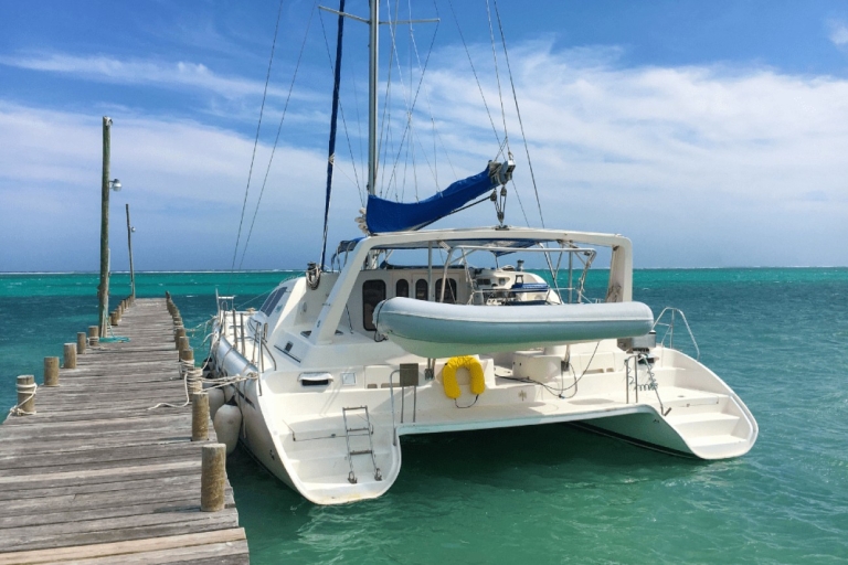 Martinica: Crucero en catamarán para avistar delfines y tortugas