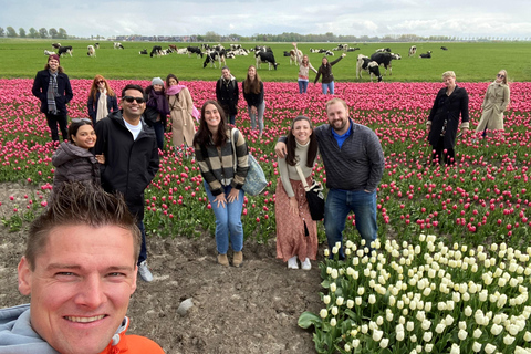 Amsterdam: Tulip Fields Day Tour with Lunch & Windmill