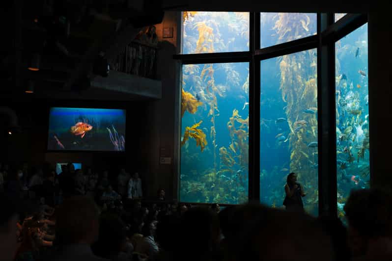 San Francisco: Monterey Bay Aquarium, Carmel & 17-Mile Drive
