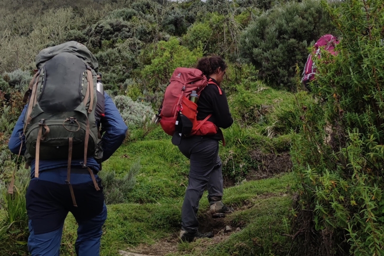 Arusha : un trekking de 3 jours au Mont Meru comprenant l'hôtel