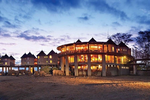 3 Tage Safari zur Saltlick Lodge von Nairobi aus