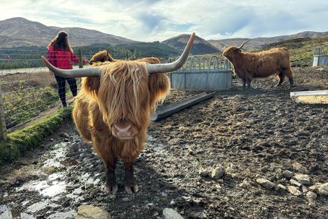 Isle of Skye – Magin och mysteriet med den skotska önIsle of Skye – Den skotska öns magi och mystik