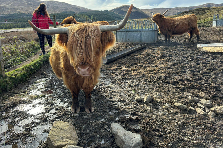 Isle of Skye – Magin och mysteriet med den skotska önIsle of Skye – Den skotska öns magi och mystik