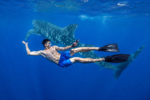 Cebu: Oslob Whale Sharks & Kawasan Canyoneering Tour Shared / Group Tour