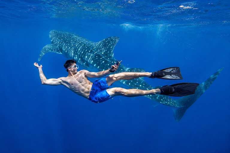 Cebu: Oslob Whale Sharks & Kawasan Canyoneering Tour Shared / Group Tour