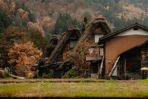 Desde Tokio: excursión de 1 día a Shirakawago y Kanazawa