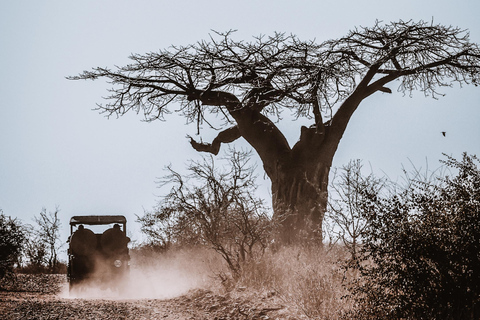 Private Game Drive Safari in the Chobe National Park