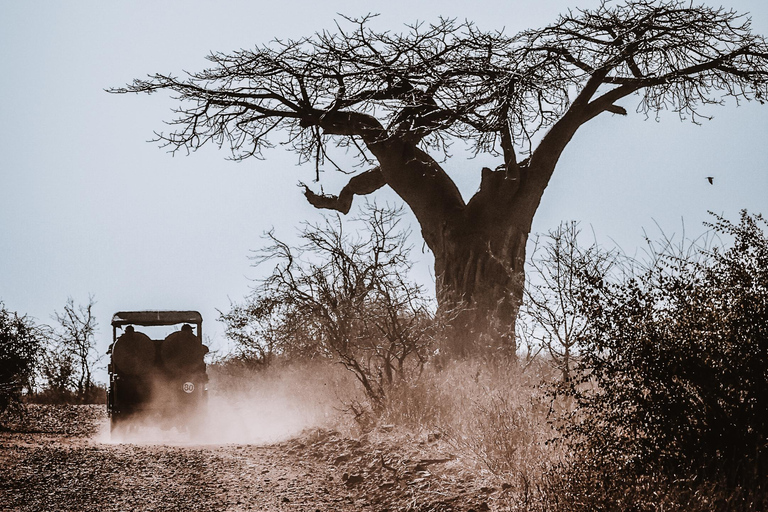 Private Game Drive Safari in the Chobe National Park