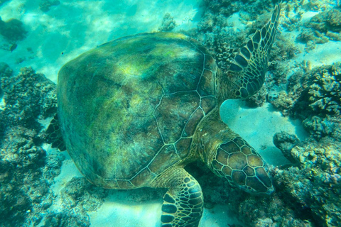 Mascate : excursion de plongée en apnée dans les îles Daymaniyat avec rafraîchissementsMascate : Expérience de bien-être Daymaniyat (coucher de soleil)