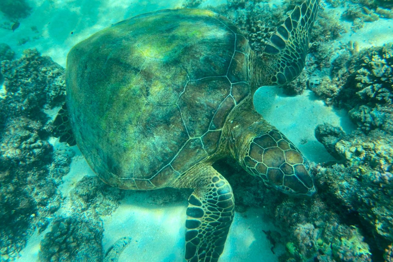 Mascate : excursion de plongée en apnée dans les îles Daymaniyat avec rafraîchissementsMascate : Expérience de bien-être Daymaniyat (coucher de soleil)