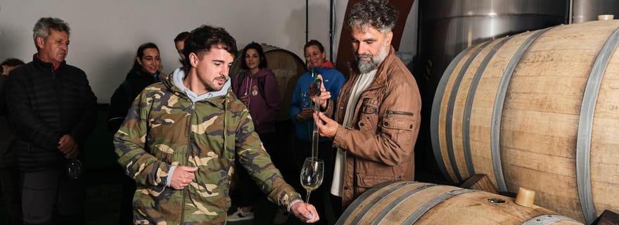 La Palma : Visite du vignoble Bodegas Teneguia avec dégustation de vins
