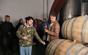 La Palma: Bodegas Teneguia Winery Tour with Wine Tasting