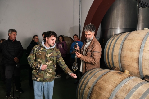 La Palma: zwiedzanie winiarni Bodegas Teneguia z degustacją wina