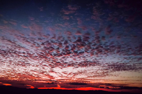 Chiang Mai Sunset Point,Wat Pha Lat,Wat Doi Suthep,Wat Umong
