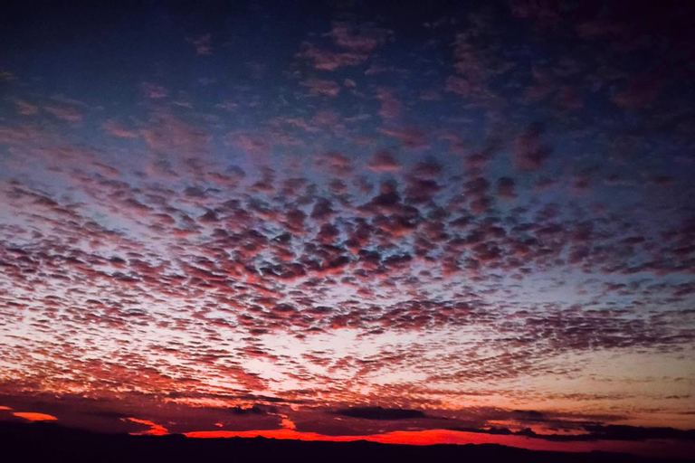 Chiang Mai Sunset Point,Wat Pha Lat,Wat Doi Suthep,Wat Umong
