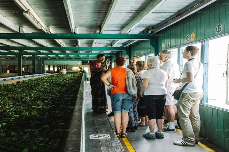 Kandy : Ambuluwawa & Pinnawala Orphanage Day Tour by Tuk Tuk