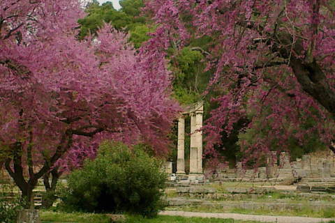 Visita guiada ao sítio arqueológico de Olímpia