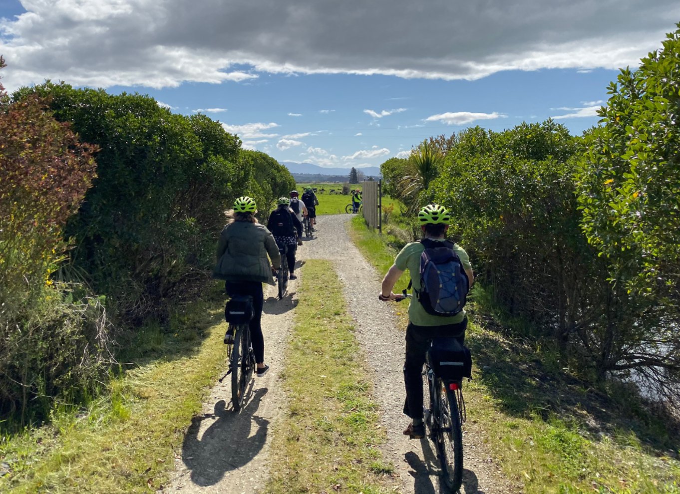 Nelson til Mapua: Heldags cykeleventyr med egen guide