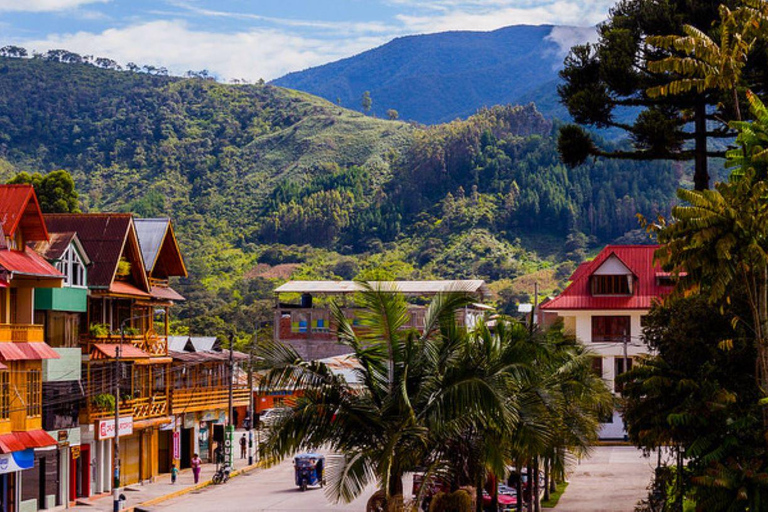 Explorando a Rota do Café: De Oxapampa a Villa Rica