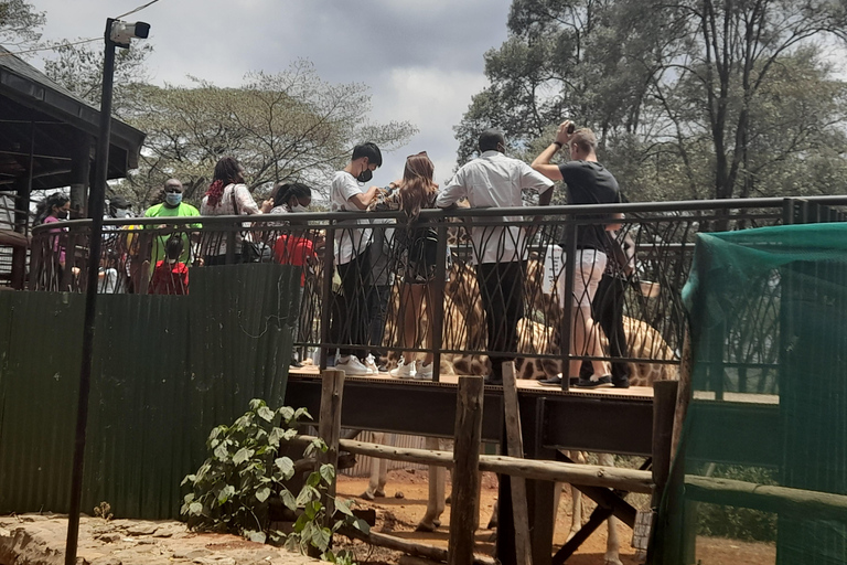 Nairobi: Nationalpark, Elefantenwaisenhaus und Giraffe Tour