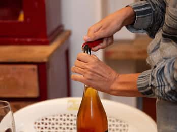 Figazzano: Wine Tasting in a Trulli Complex with a Vineyard
