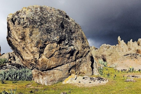 Excursiones de 6 días a las montañas de Bale para hacer senderismo y avistar fauna salvaje