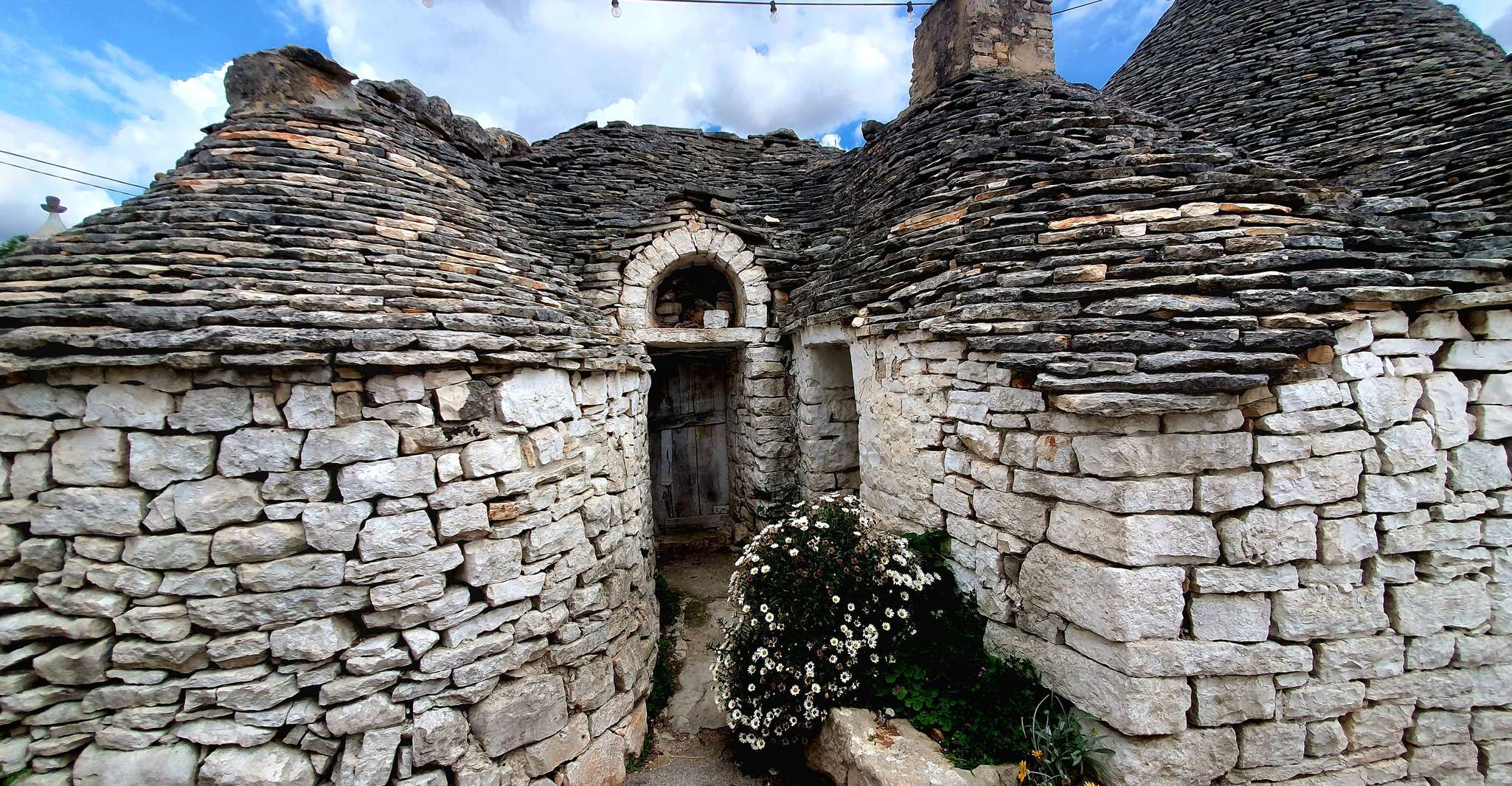 Ostuni: Alberobello, Locorotondo, Ostuni & Apulian brunch photo 4