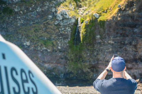 From Christchurch: Akaroa Day Tour with Nature Cruise