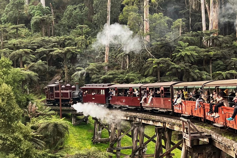 Melbourne: Puffing Billy Railway &amp; Phillip Island Day Trip