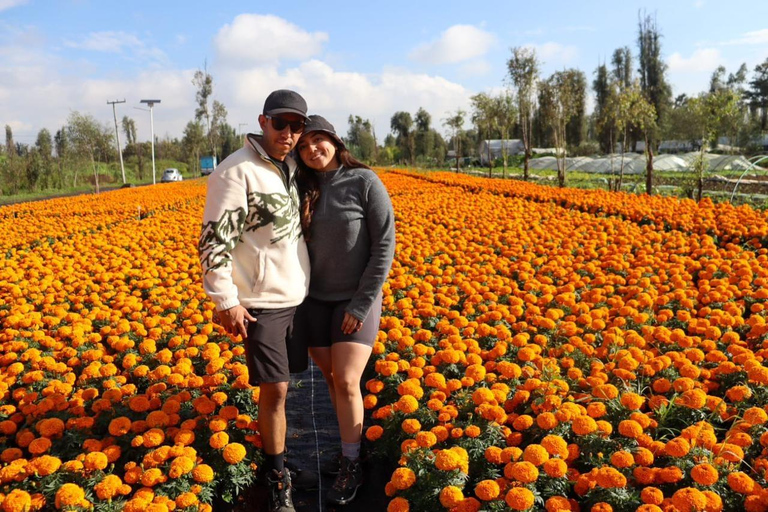 Tour in kayak a Xochimilco: campi di calendula e sapori del giorno dei mortiTour in kayak all'alba a Xochimilco