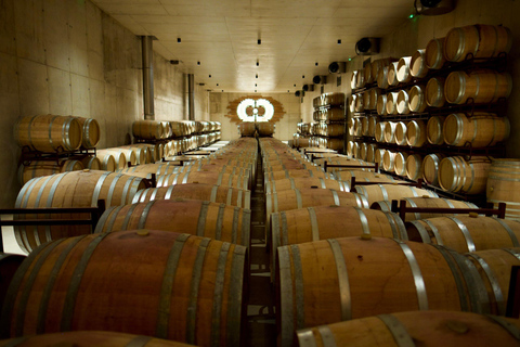 Valencia: tour dei vigneti, degustazione di vini locali e aperitivoValencia: tour dei vigneti, degustazione di vini locali e stuzzichini