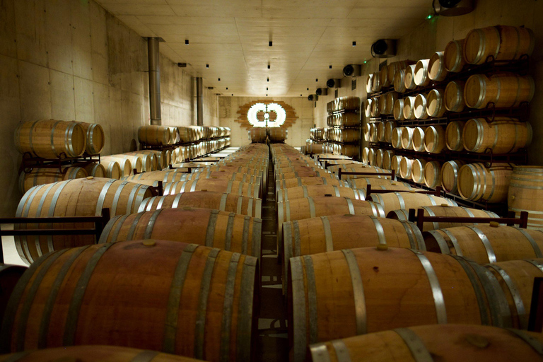 Valencia: tour dei vigneti, degustazione di vini locali e aperitivoValencia: tour dei vigneti, degustazione di vini locali e stuzzichini