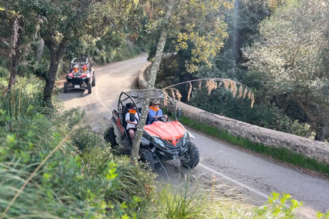 From East Mallorca: Guided Beach and Mountain Buggy Tour