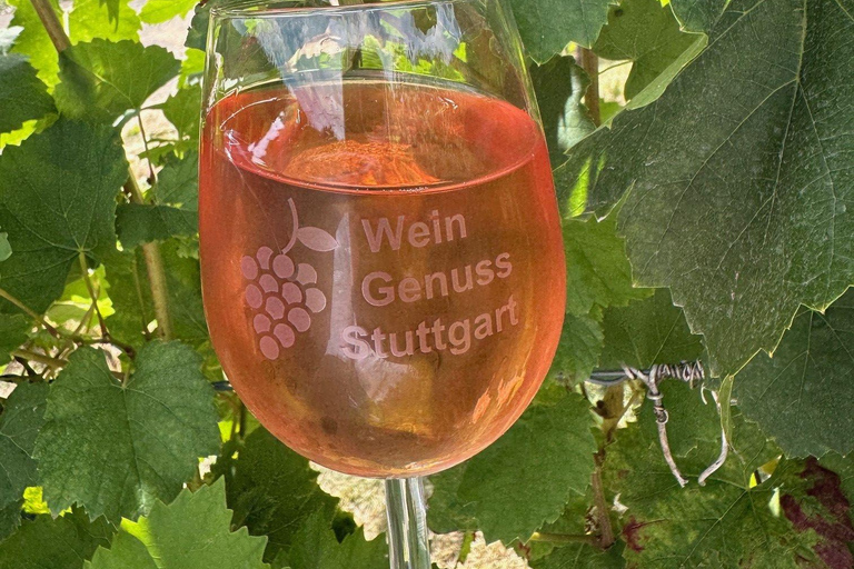 Stuttgart: From the Cellar to the Vine – Experience Wine Up Close Stuttgart: From the cellar to the vine – experience wine up close