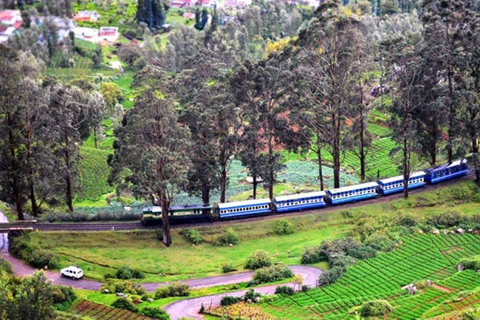 From Bangalore: Majestic Ooty Hill Station Tour 2N/3D