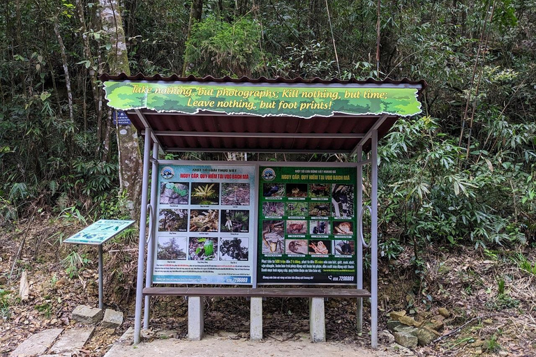 Wycieczka trekkingowa do Parku Narodowego Bach Ma z Hue/Da Nang/Hoi AnZ Hoi An / Da Nang - mała grupa