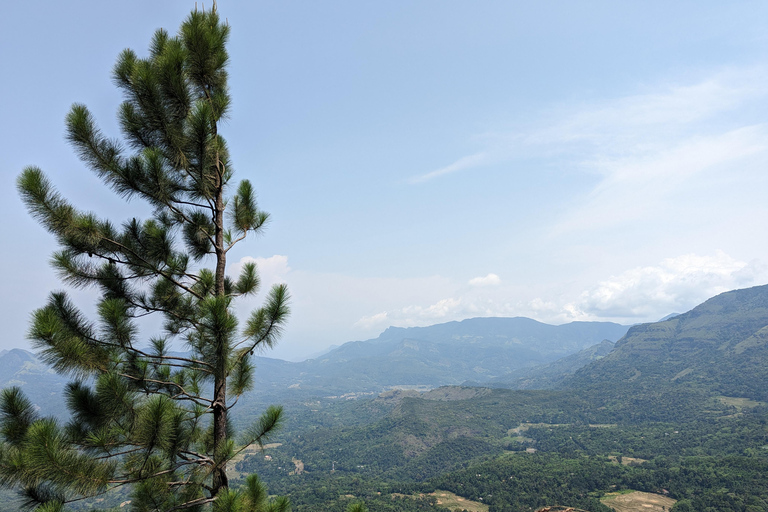 Da Kandy: escursione alle cime gemelle di Kanawiddagala e YahangalaDa Kandy: escursione alle due cime gemelle di Kanawiddagala e Yahangala