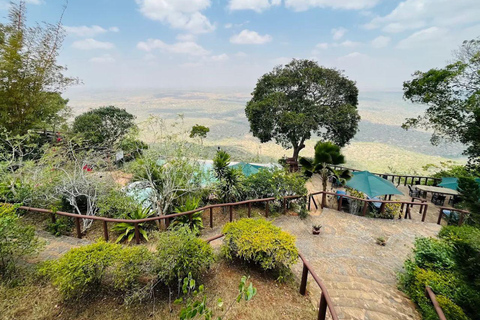 Diani: Guided day trip to Shimba Hills Reserve with lunch
