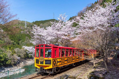 Kyoto Hozugawa River Boat Sagano Romantic Train Tour From Kyoto