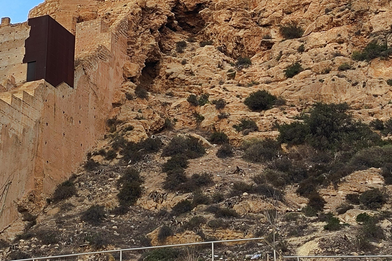 History and Hidden Corners Essential | Spanish Walking Tour Visita el corazón de la ciudad de Almería