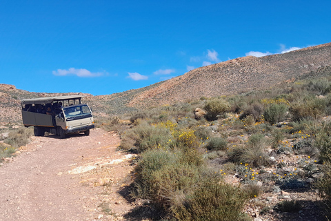 Cape Town Aquilla big sunset safari With transport & food aquila sunset bestseller