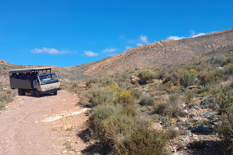 Cape Town Aquilla big sunset safari With transport & food aquila sunset bestseller